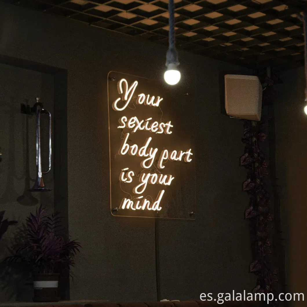 Luces de tiras de neón de silicona flexibles IP67 coloridas para la decoración del hogar y el jardín